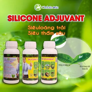 SILICONE ADJUVANT tăng khả năng lan trải, thẩm thấu hoạt chất trên bề mặt lá