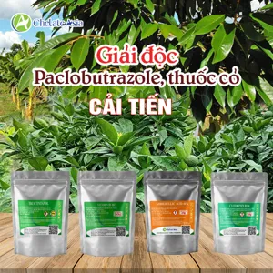 COMBO GIẢI ĐỘC (CẢI TIẾN): Giải độc Paclobutrazol, thuốc cỏ, trẻ hóa mô, phục hồi sinh trưởng