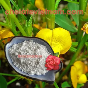 Uniconazole 5WP (Ức chế sinh trưởng, tạo dáng cây)