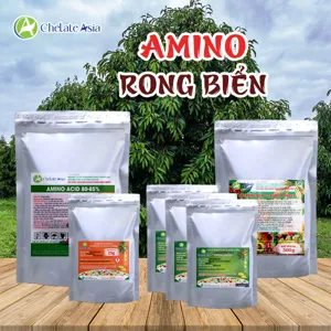 COMBO AMINO RONG BIỂN: Dưỡng lá mướt, phục hồi nhanh, tăng trưởng toàn diện