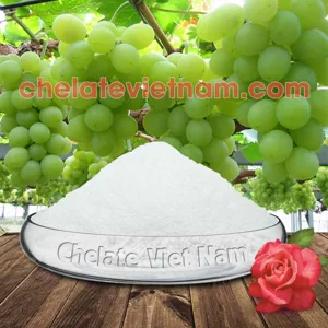 Cytokinin CPPU KT-30 99% (Tăng kích thước trái cây) Forchlorfenuron