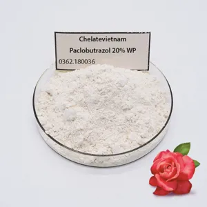 Paclobutrazol 20% WP (Ức chế sinh trưởng, kích thích ra hoa)