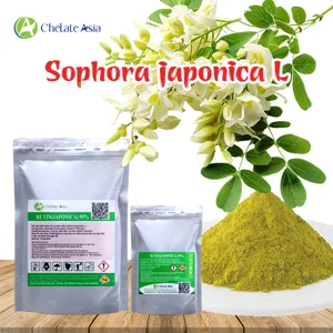 Hoạt chất RUTIN 98% (Sophora japonica L.) Chống cháy lá, giải độc, dưỡng cây khỏe mạnh