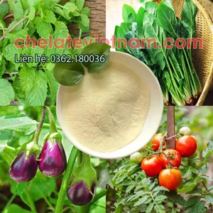 Amino Acid (Axit Amin) 80% dạng bột tan 100%