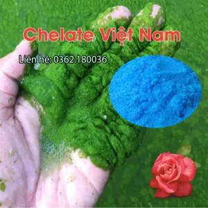 Đồng Sunfat (CuSO4.5H2O) tan hoàn toàn trong nước