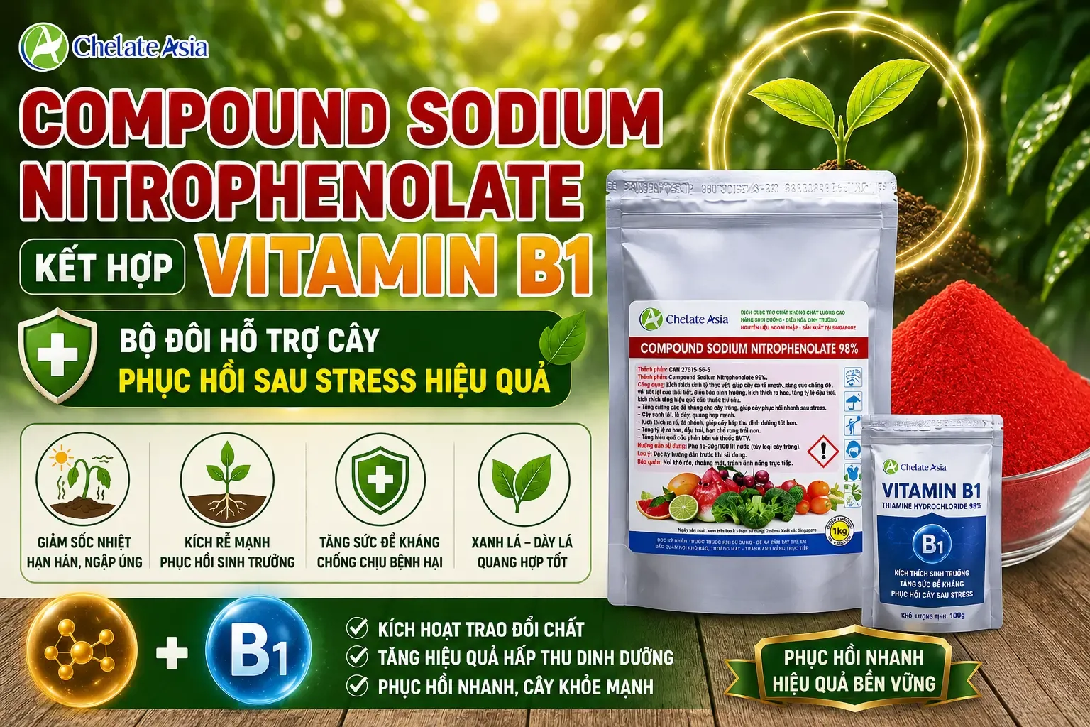Atonic kết hợp B1 hỗ trợ cây sau stress