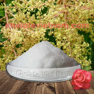 Hóa chất Phosphorous Acid (H3PO3) - Lân 86% - Lân 2 chiều