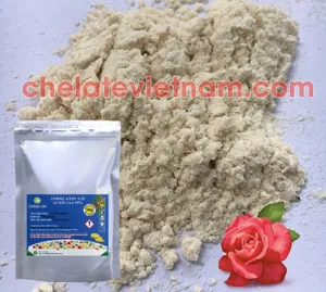 Auxin IAA 99% (3-Indole acetic acid) Chất kích thích ra rễ