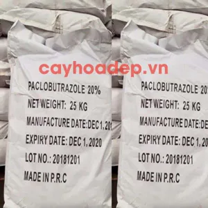 Paclobutrazol 20% WP (Ức chế sinh trưởng, kích thích ra hoa)