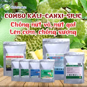 COMBO KALI-CANXI-SILIC Chống nứt vỏ, nứt gai, sượng trái, úng nước, hạn chế nấm bệnh