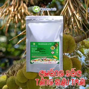 Brassinolide 0.15% SP (Giải độc cây trồng) Hormone thực vật tan trong nước