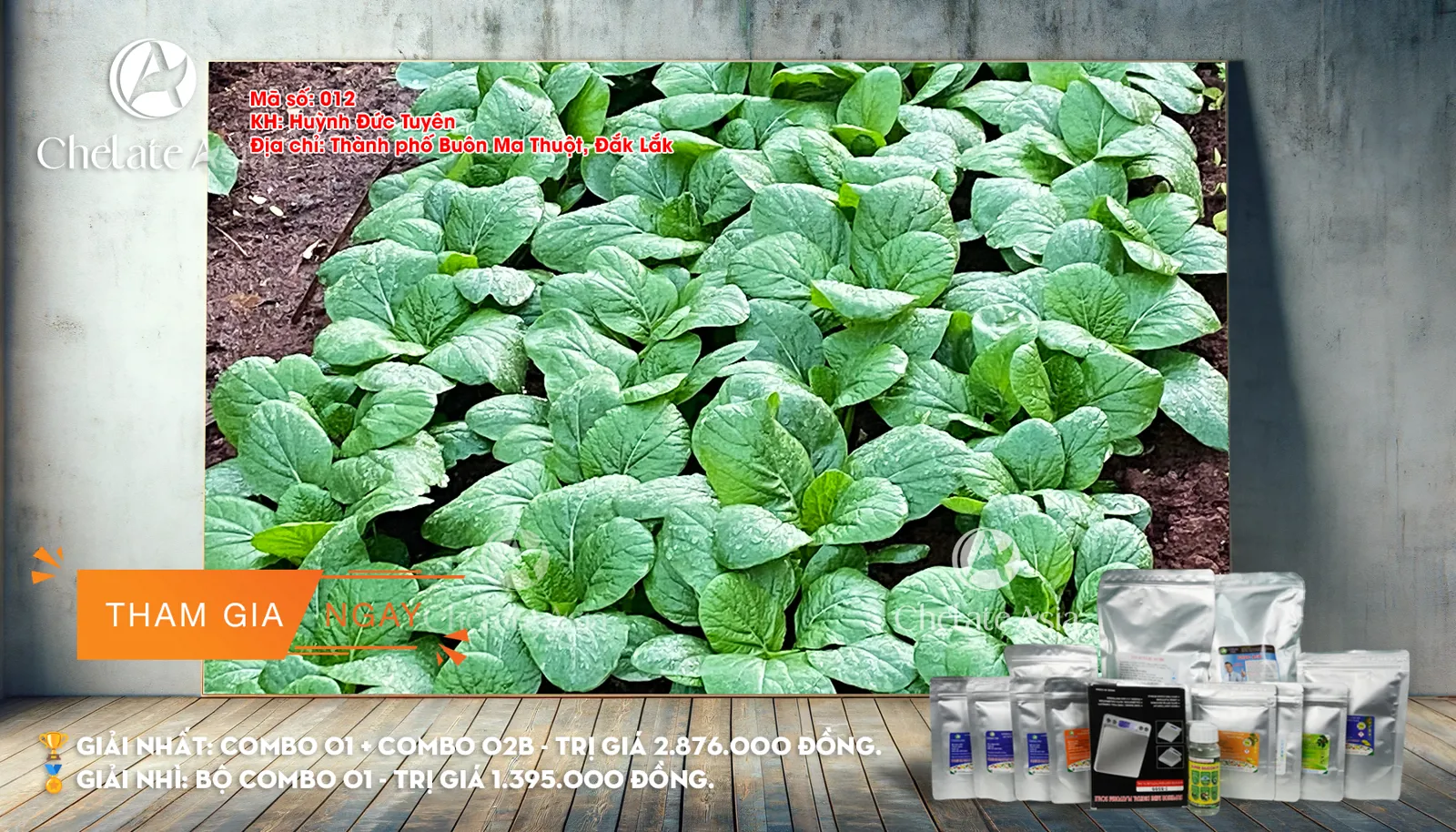 Mã số 12: Khám Phá Bí Quyết Vườn Rau Xanh Mướt, An Toàn với Bacillus thuringiensis từ Chelate Asia. Tác giả: Huỳnh Đức Tuyên - Đắk Lắk