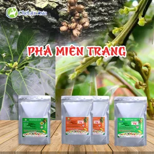 (02) COMBO PHÁ MIÊN TRẠNG – Kích hoạt mắt cua, mầm hoa cây ăn trái