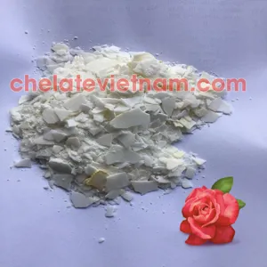 Potassium Hydroxide Solid - KOH (KOH ≥ 90%)
