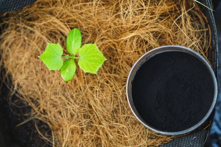 Humic Humate với cây trồng