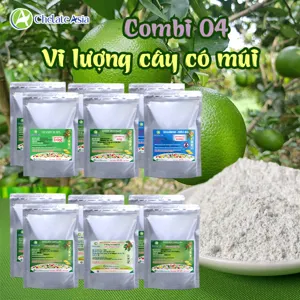COMBO COMBI 04: Vi lượng chuyên biệt cho cây có múi