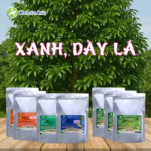COMBO XANH, DÀY LÁ: Dưỡng lá xanh dày, bóng mượt từ bên trong