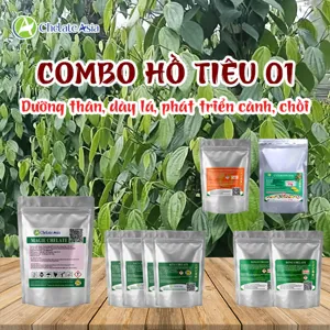 COMBO HỒ TIÊU 01 - Dưỡng thân, dày lá, phát triển cành, chồi
