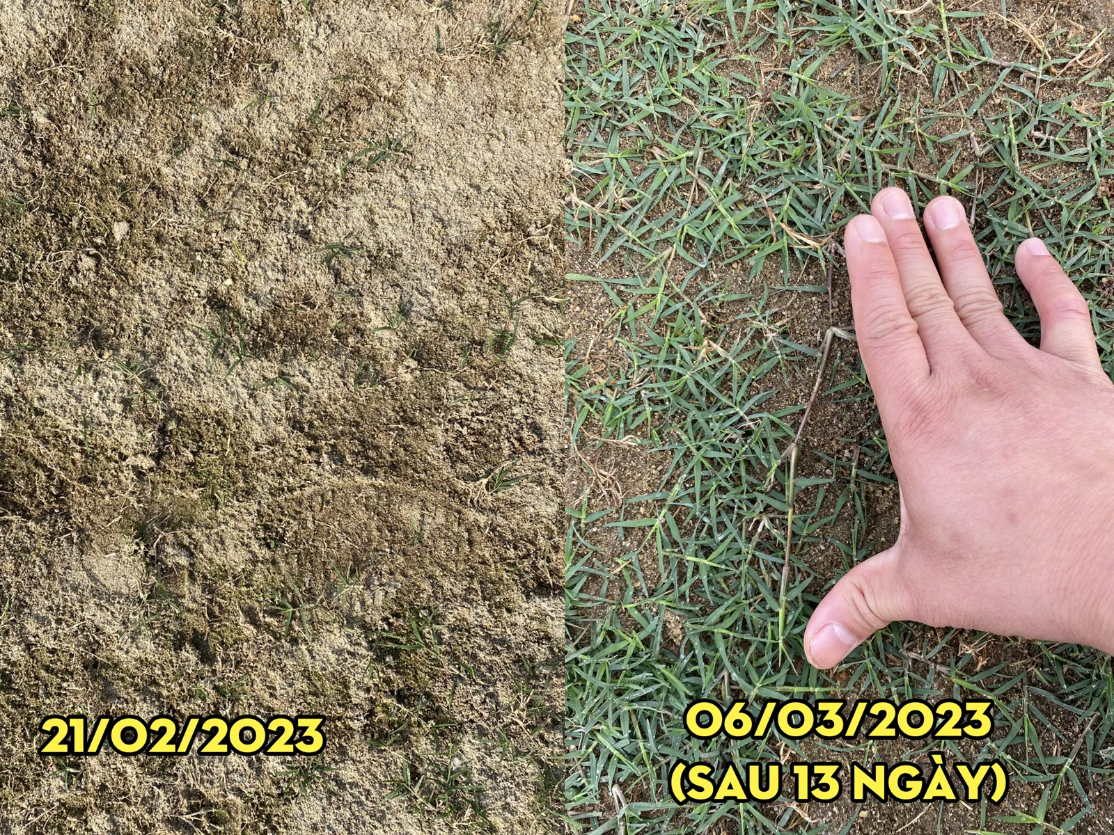 Sân vận động Đông Á Thanh Hóa khi Chelate Việt Nam nhận tư vấn hồi phục và thời điểm sau đó 1 tháng