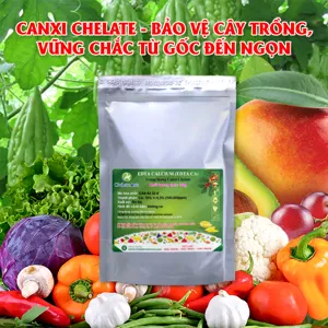 Canxi Chelate (Ca-EDTA-10) tan hoàn toàn trong nước