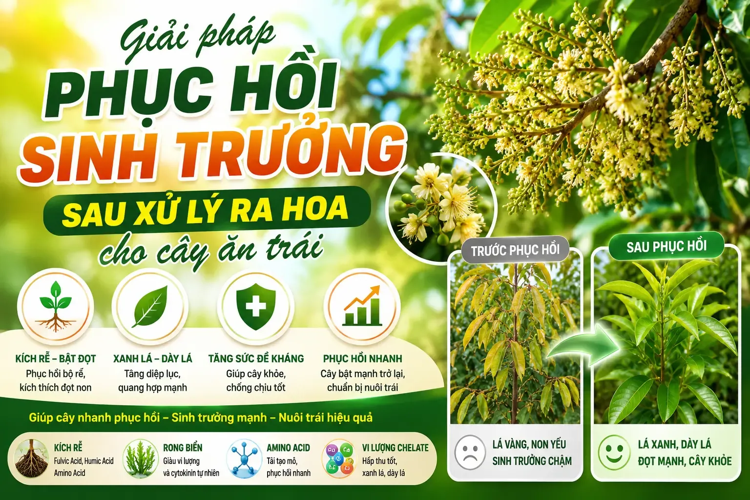 Phục hồi sau xử lý ra hoa