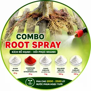 COMBO ROOT SPRAY – Bộ nguyên liệu hỗ trợ kích rễ và phục hồi bộ rễ qua phun/tưới