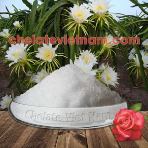 Hóa chất Phosphorous Acid (H3PO3) - Lân 86% - Lân 2 chiều