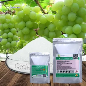 Cytokinin CPPU KT-30 2% (Tăng kích thước trái cây) Forchlorfenuron
