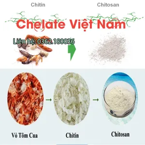 Chitosan Oligosaccharide 90% Vắc xin cây trồng (dạng bột) tan trong nước