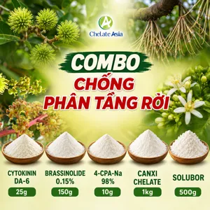 (04B) COMBO CHỐNG PHÂN TẦNG RỜI: Chống rụng trái, chống sốc siêu hiệu quả