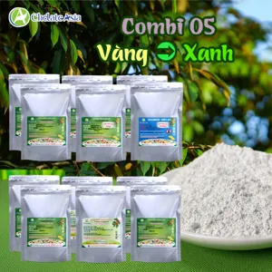COMBO COMBI 05: Biến vàng thành xanh