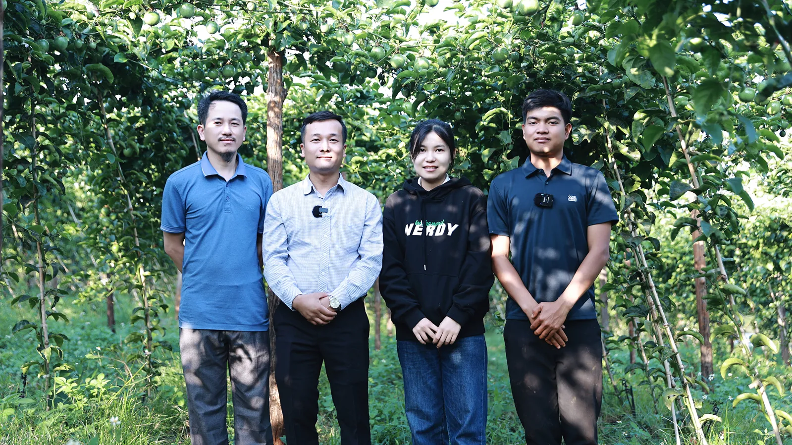 Thăm trang trại trồng chanh dây (chanh leo) DAPFARM