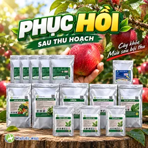 COMBO HỒI PHỤC TOÀN DIỆN – Bộ nguyên liệu hỗ trợ tái tạo rễ, phục hồi tán và sức sinh trưởng