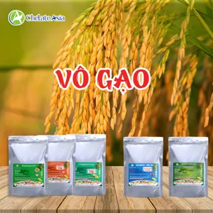 COMBO VÔ GẠO: Nuôi chắc hạt, sáng gạo, không lo lép