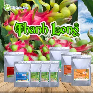 COMBO THANH LONG: Vuốt tai, lấy 3 tai đầu, dưỡng trái, nuôi dây