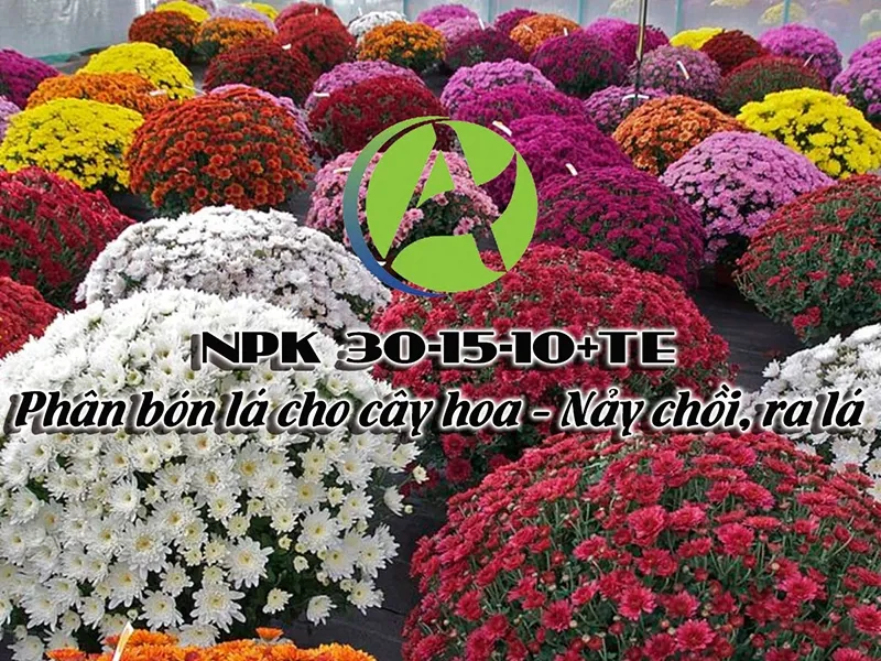 NPK 30-15-10+TE Phân bón lá cho cây hoa – Nảy chồi, ra lá