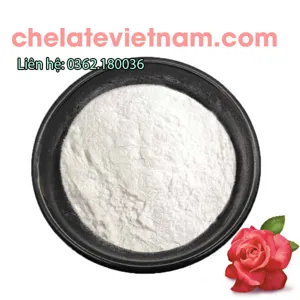 1-MCP – ức chế sự già hóa, kéo dài thời gian bảo quản nông sản