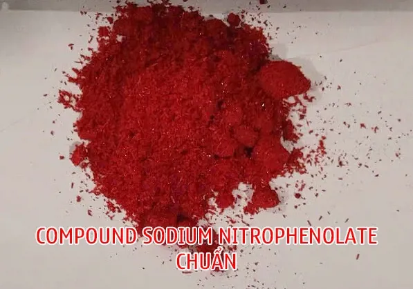 Compound Sodium Nitrophenolate đảm bảo chất lượng (Atonic thật)
