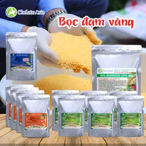 COMBO VI LƯỢNG ĐẠM VÀNG: Tăng hiệu quả hấp thu đạm, giảm hao phí, tối ưu dinh dưỡng cho cây trồng