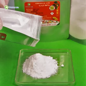 Gibberellic Acid 90% (GA3) nguyên chất