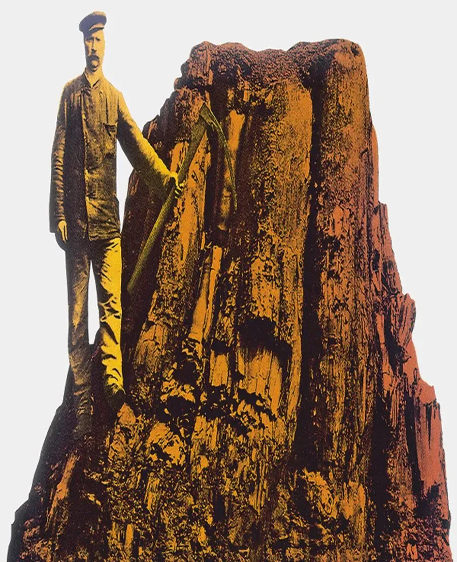 Tàn tích cây sequoia thời Đệ tam (tìm thấy tại mỏ than Donatus, Tây Đức, năm 1907).
