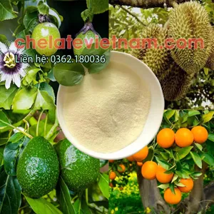 Amino Acid (Axit Amin) 80% dạng bột tan 100%