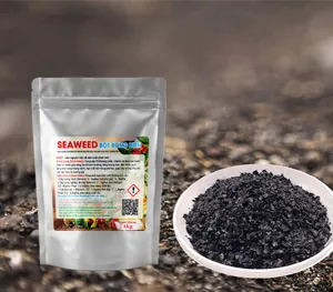 Bột rong biển (Seaweed Powder) - PHÂN BÓN HỮU CƠ NUTRI MAX ORGANIC dạng bột, vảy tan 100%