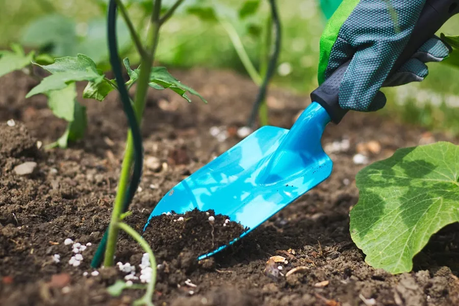 Kết hợp NPK với chất kích rễ