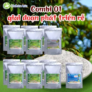 COMBO COMBI 01: Bộ vi lượng giai đoạn phát triển rễ