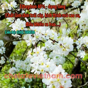 Hóa chất hữu cơ ETHEPHON (dùng làm nguyên liệu sản xuất phân bón) - dạng lỏng