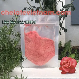 Chelate Vitamin 3B (B1, B6, B12) - Siêu giải độc, siêu kích chồi, dưỡng cây (EXTRAL POWDER)