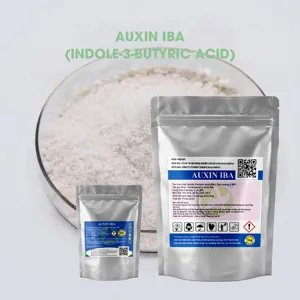 Auxin IBA (Indole-3-butyric acid) Kích thích ra rễ