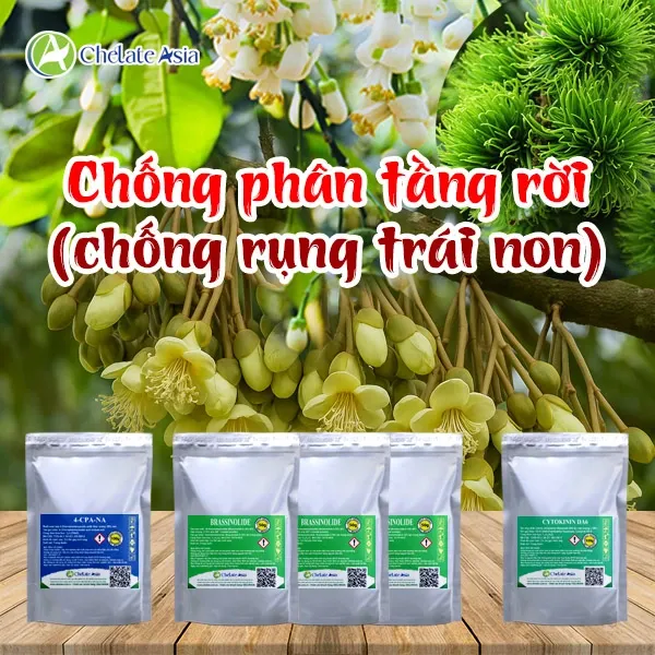 Combo chống phân tầng rời