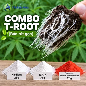 COMBO T-ROOT (rút gọn) - Bộ nguyên liệu hỗ trợ kích rễ và phục hồi bộ rễ